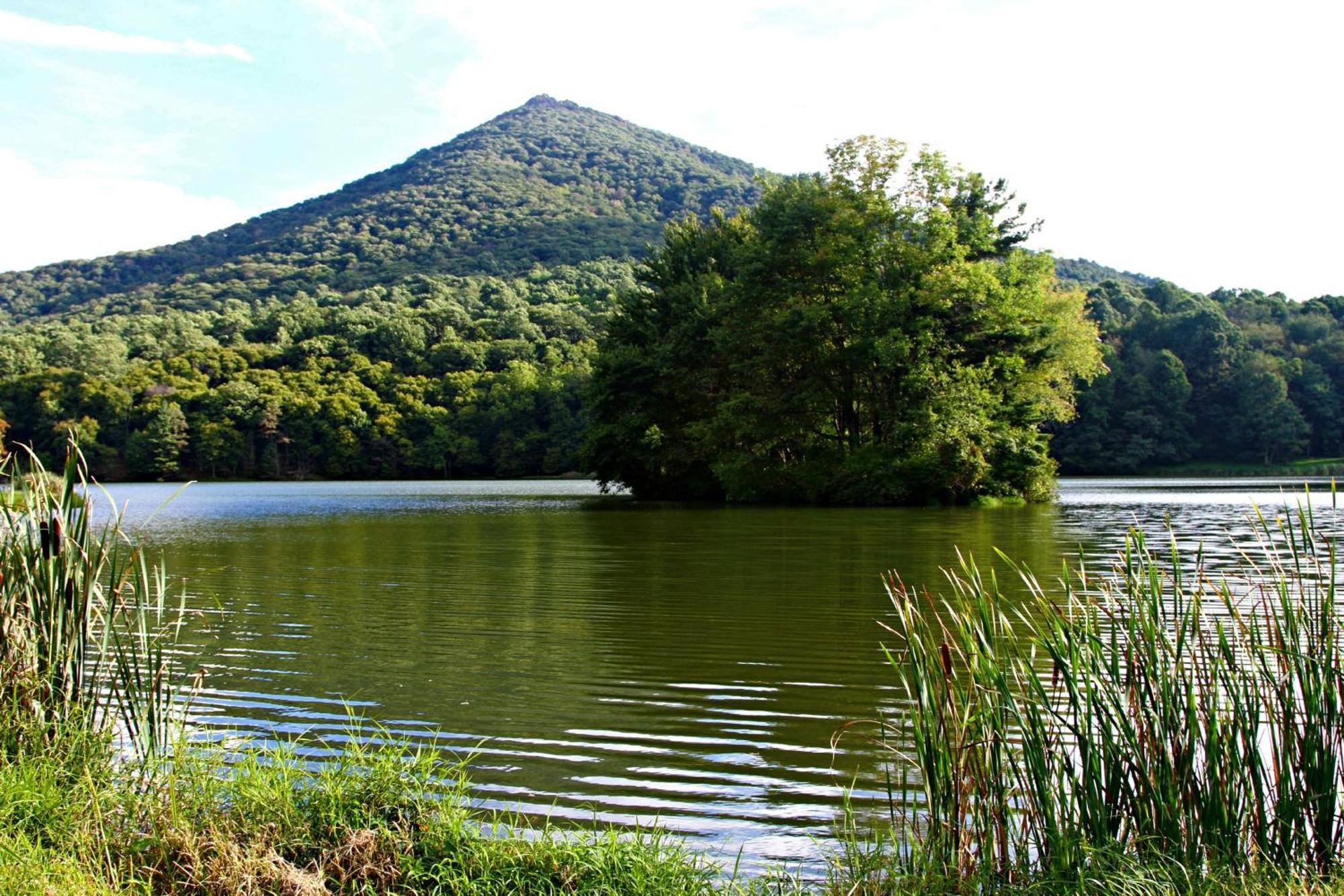 Peaks Of Otter Lodge Бедфорд Экстерьер фото