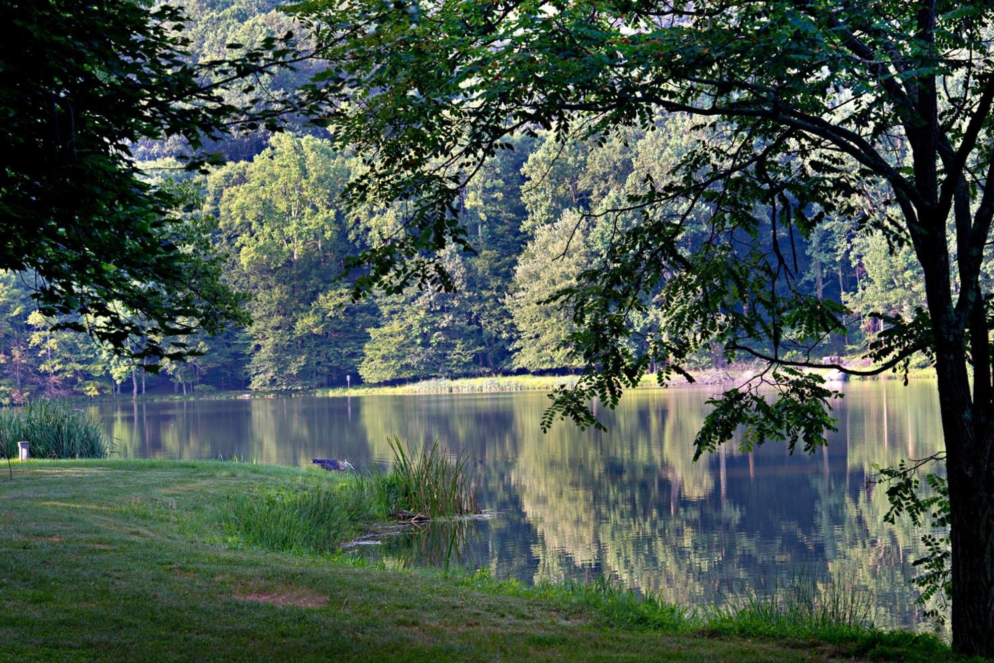 Peaks Of Otter Lodge Бедфорд Экстерьер фото